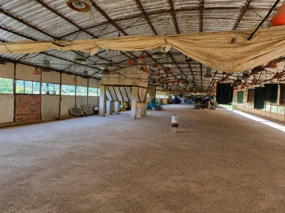 Farm i Beniganim, Valencia - foto 3